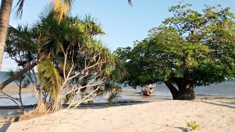 اتاق استاندارد با چشم‌انداز دریا, Funky Squids Beach Resort