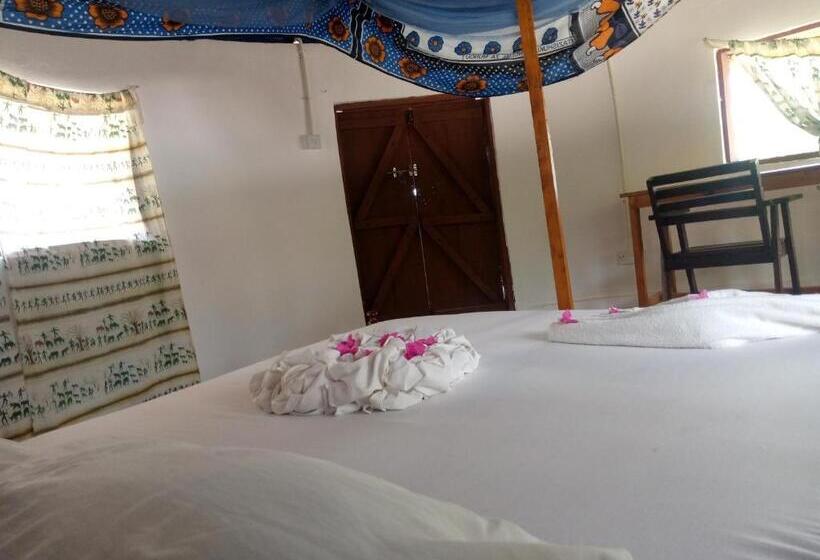 اتاق استاندارد با چشم‌انداز دریا, Funky Squids Beach Resort
