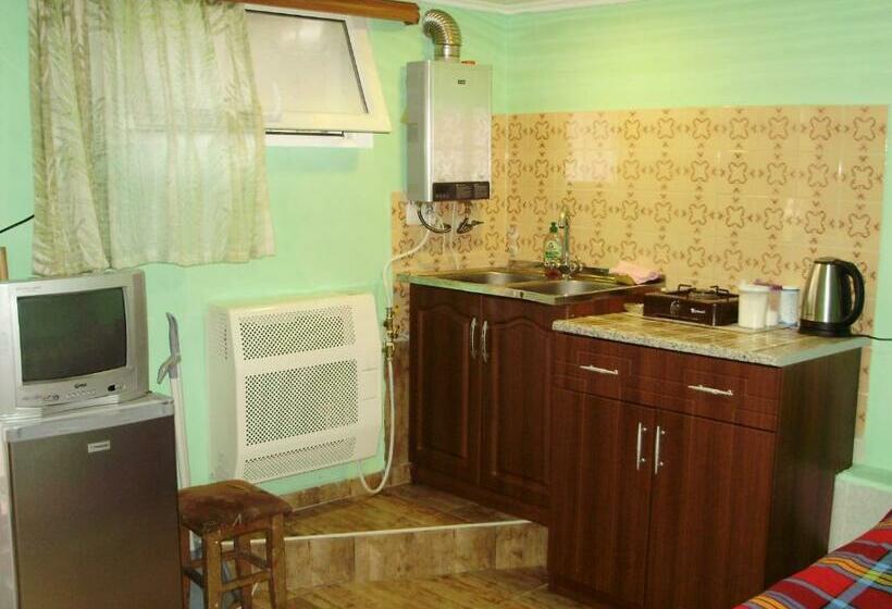 اتاق اکونومی, Apartment On Erekle 25a