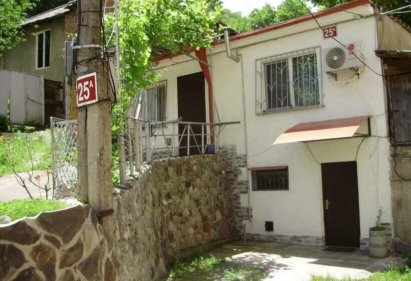 اتاق اکونومی, Apartment On Erekle 25a