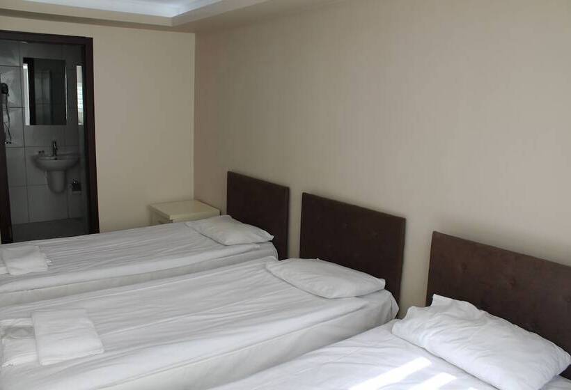 Standard Triple Room, Abro Necatibey