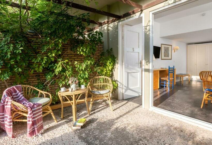 Standard Studio m. terrasse, Dionysos