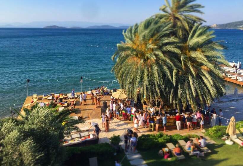 سوییت اجرایی, Toka Bodrum Hotel & Beach Club