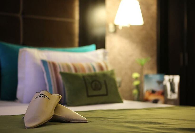 اتاق استاندارد, Terminus City Center Oujda