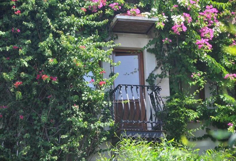 سوییت, El Vino Hotel & Suites