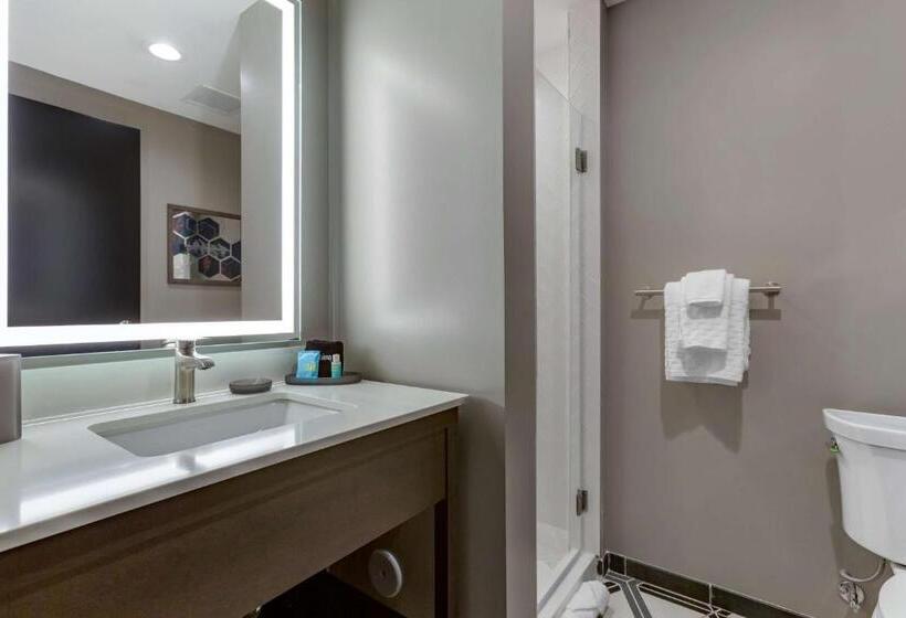 اتاق استاندارد با تخت بزرگ, Vīb Hotel By Best Western Phoenix   Tempe