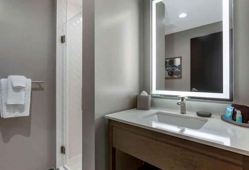 اتاق استاندارد, Vīb Hotel By Best Western Phoenix   Tempe