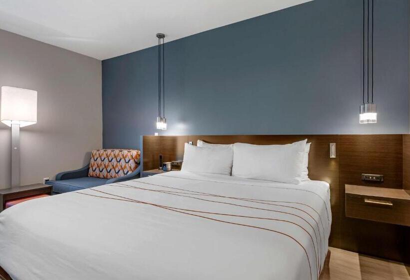 اتاق استاندارد با تخت بزرگ, Vīb Hotel By Best Western Phoenix   Tempe