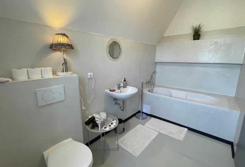 آپارتمان 1 خوابه با بالکن, Penzion Villa Amélie