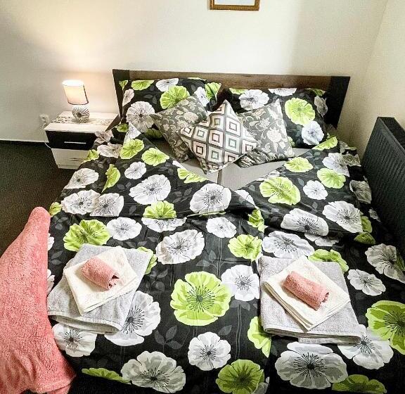 آپارتمان 1 خوابه با بالکن, Penzion Villa Amélie