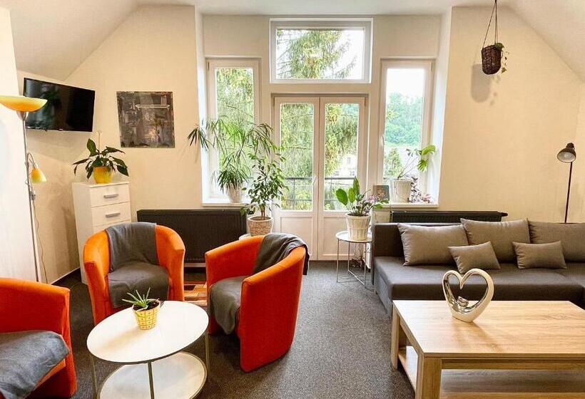 آپارتمان 1 خوابه با بالکن, Penzion Villa Amélie
