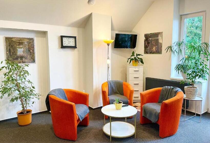 آپارتمان 1 خوابه با بالکن, Penzion Villa Amélie