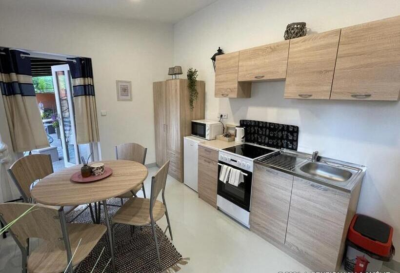 آپارتمان 1 خوابه با تراس, Penzion Villa Amélie
