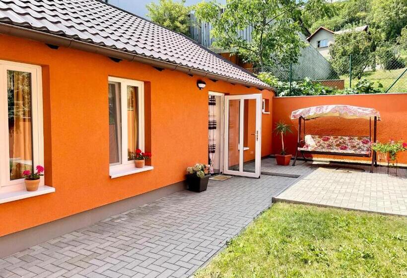 آپارتمان 1 خوابه با تراس, Penzion Villa Amélie