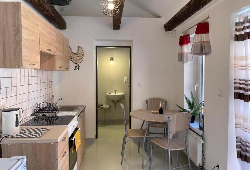 آپارتمان 1 خوابه با تراس, Penzion Villa Amélie