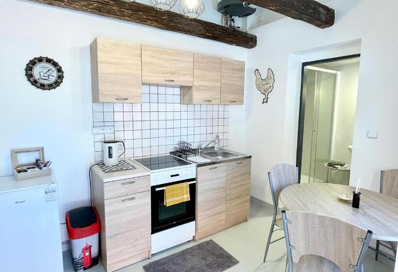 آپارتمان 1 خوابه با تراس, Penzion Villa Amélie