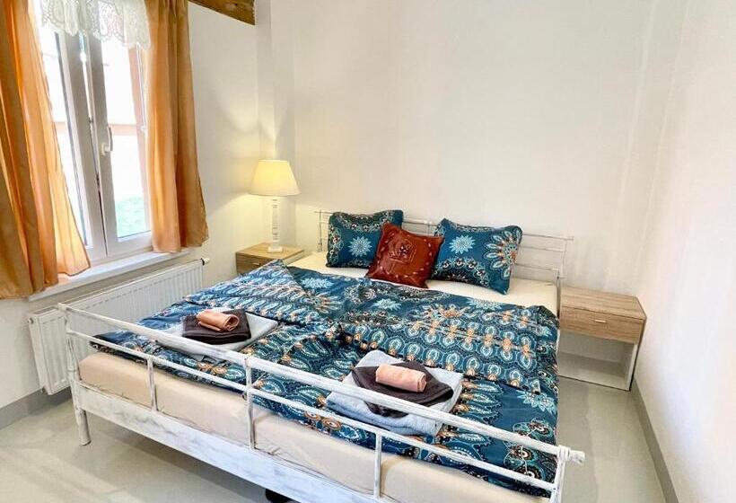 آپارتمان 1 خوابه با تراس, Penzion Villa Amélie