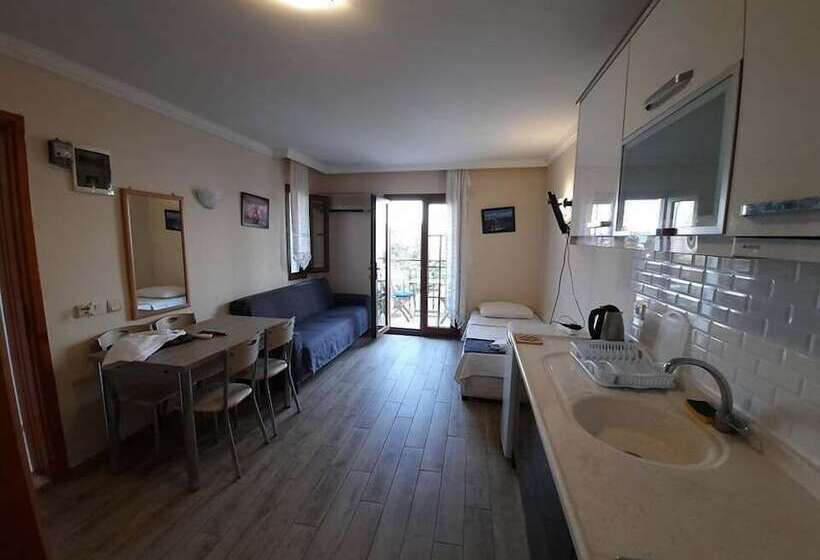آپارتمان عادی 1 خوابه, Dasis Hotel & Suites