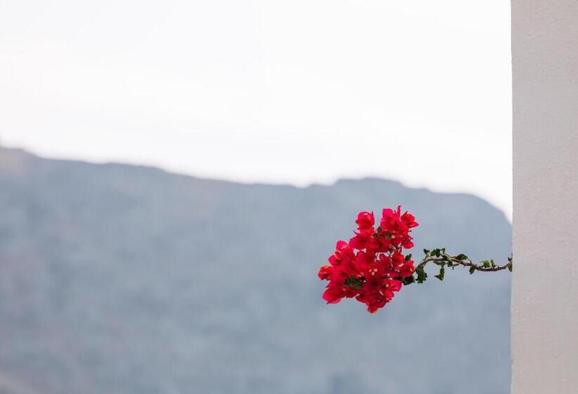 آپارتمان 1 خوابه, Alianthos Garden