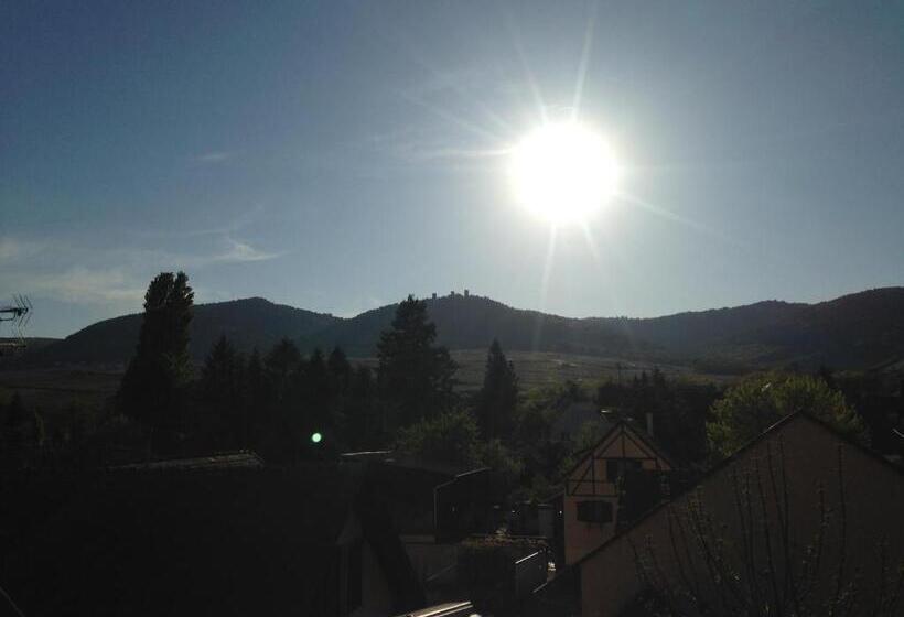 اتاق سوپریور با تخت بزرگ, Colmar Vignes Eguisheim
