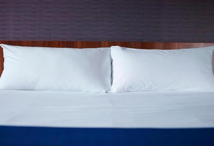 اتاق سوپریور با چشم‌انداز, Holiday Inn Express Marseille Saint Charles, An Ihg
