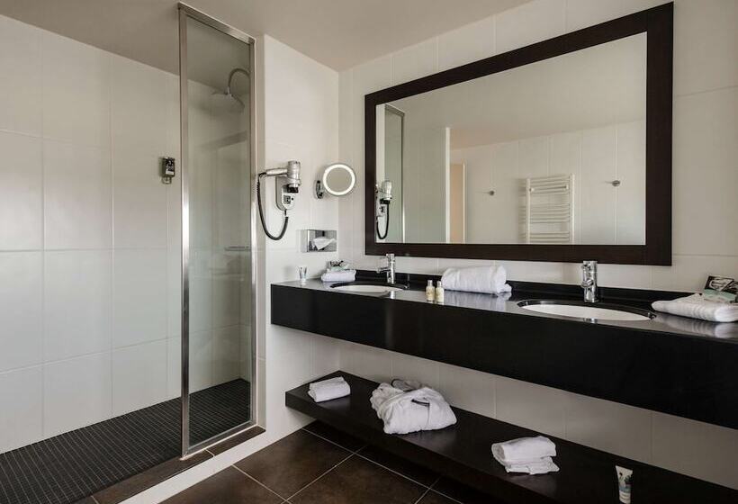 اتاق استاندارد با تخت دوبل, Hôtel Mercure Lyon Genas Eurexpo