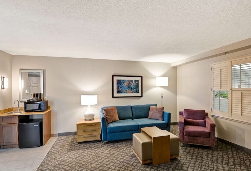 اتاق استاندارد با تخت دوبل, Embassy Suites By Hilton Orlando Downtown