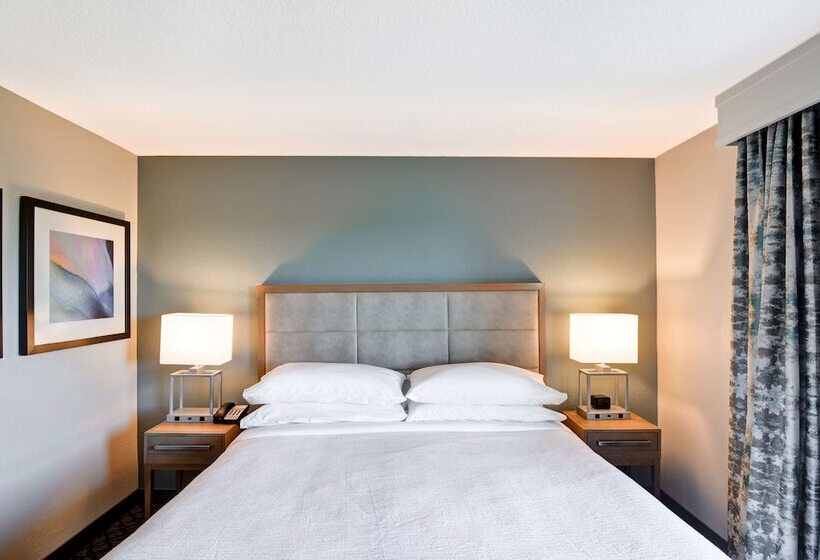 اتاق استاندارد با تخت دوبل, Embassy Suites By Hilton Orlando Downtown