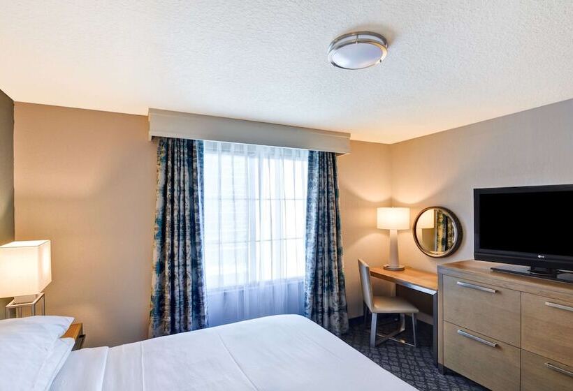 اتاق استاندارد با تخت دوبل, Embassy Suites By Hilton Orlando Downtown