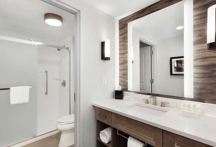سوئیت با تخت بزرگ, Embassy Suites By Hilton Orlando Downtown