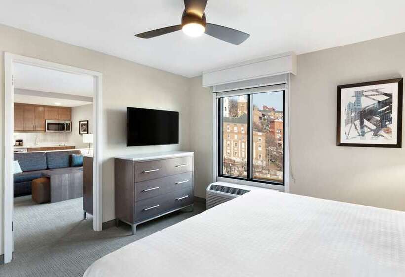 سوئیت با تخت بزرگ, Embassy Suites By Hilton Orlando Downtown