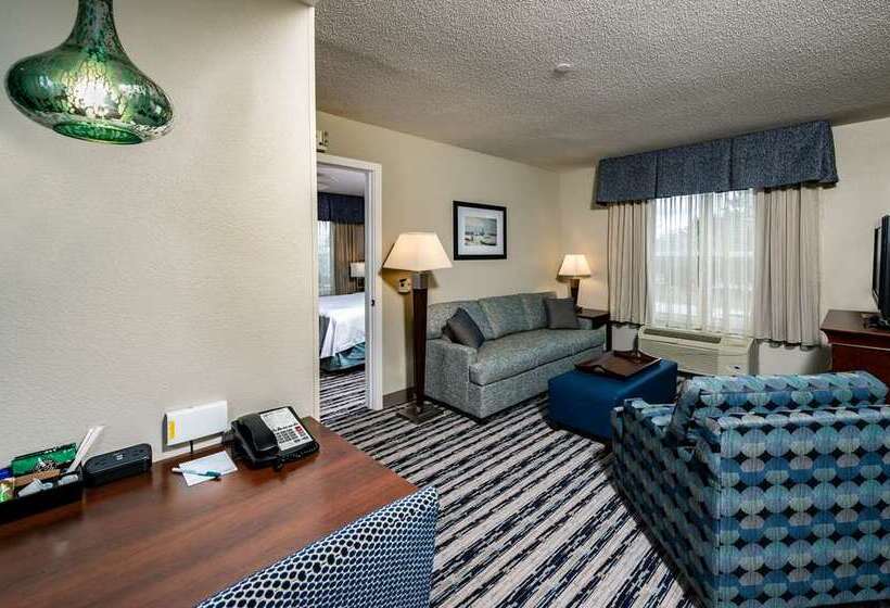سوئیت با تخت بزرگ, Embassy Suites By Hilton Orlando Downtown