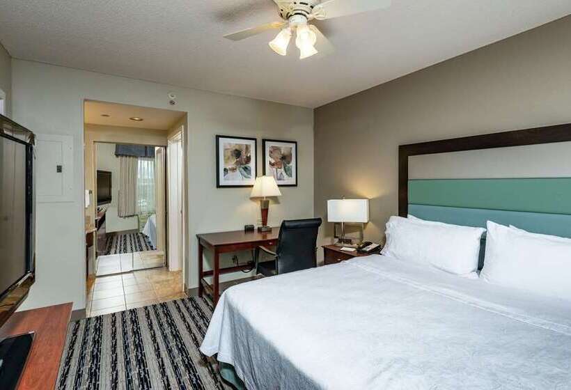 سوئیت با تخت بزرگ, Embassy Suites By Hilton Orlando Downtown
