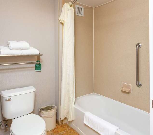 سوئیت با تخت بزرگ, Embassy Suites By Hilton Orlando Downtown