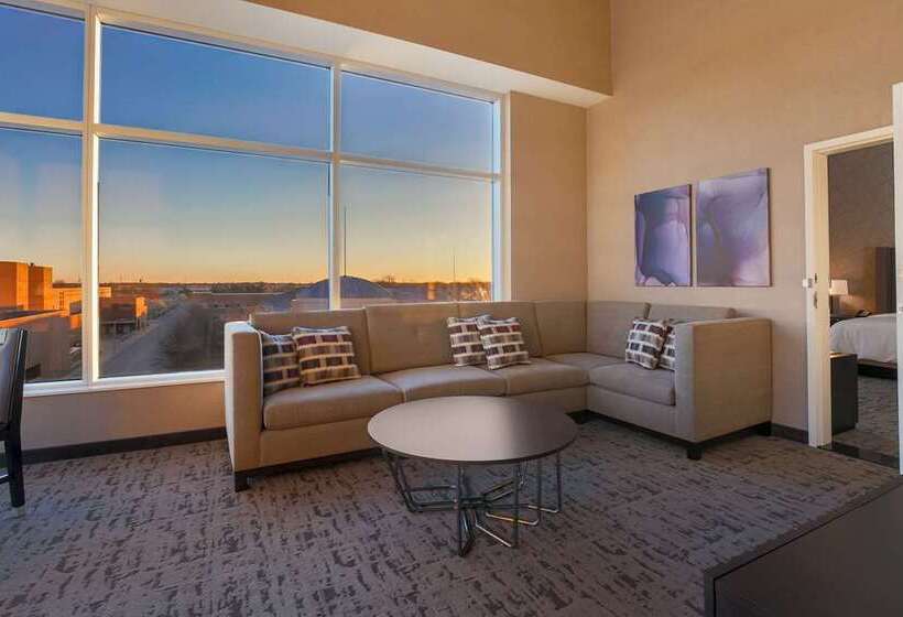 سوئیت با تخت بزرگ, Embassy Suites By Hilton Orlando Downtown