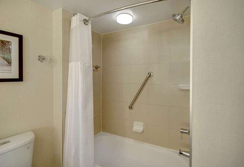 سوییت, Embassy Suites By Hilton Orlando Downtown