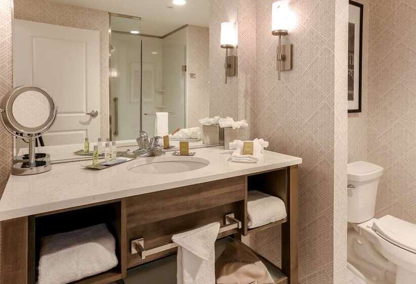 سوئیت با تخت بزرگ, Embassy Suites By Hilton Orlando Downtown