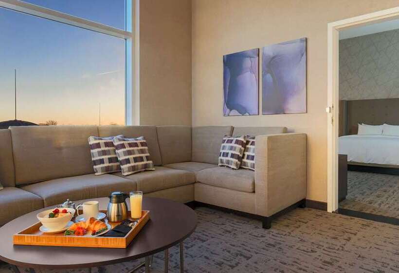 سوئیت با تخت بزرگ, Embassy Suites By Hilton Orlando Downtown