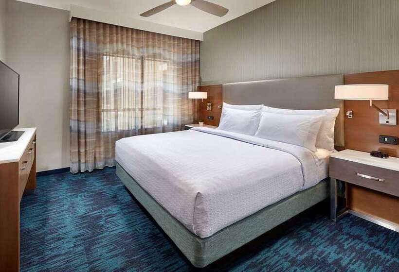 سوئیت با تخت بزرگ, Embassy Suites By Hilton Orlando Downtown