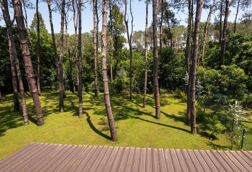 Suite with Terrace, Buxus Hotel Shekvetili
