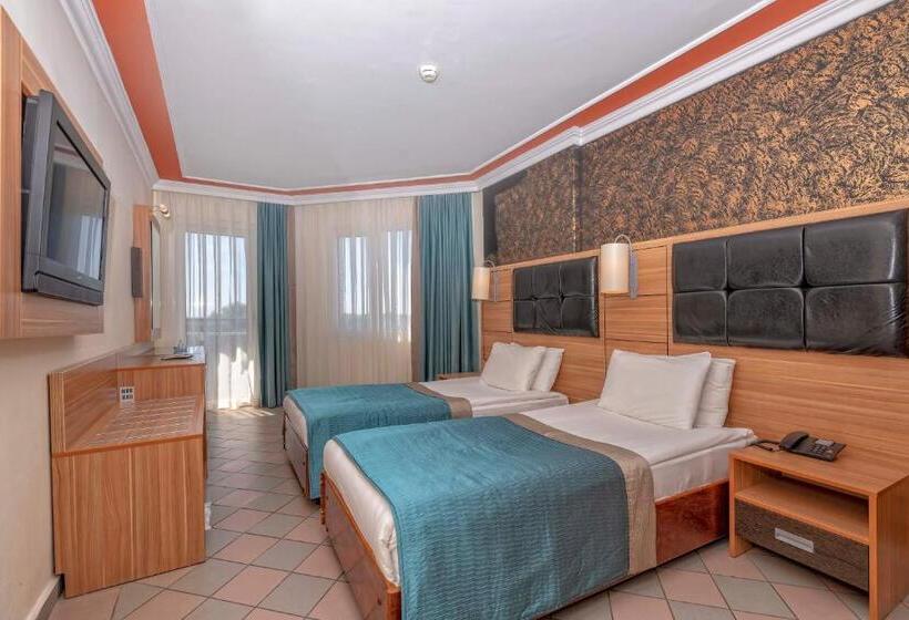 اتاق استاندارد یک نفره, Armas Kaplan Paradise