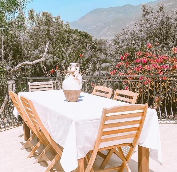 ویلای 1 خوابه, Club Hotel Barbarossa