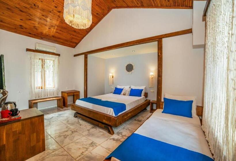 اتاق استاندارد, Dalya Life