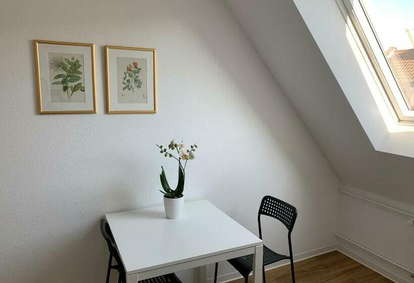 آپارتمان 2 خوابه, B54 Heidelberg City Center