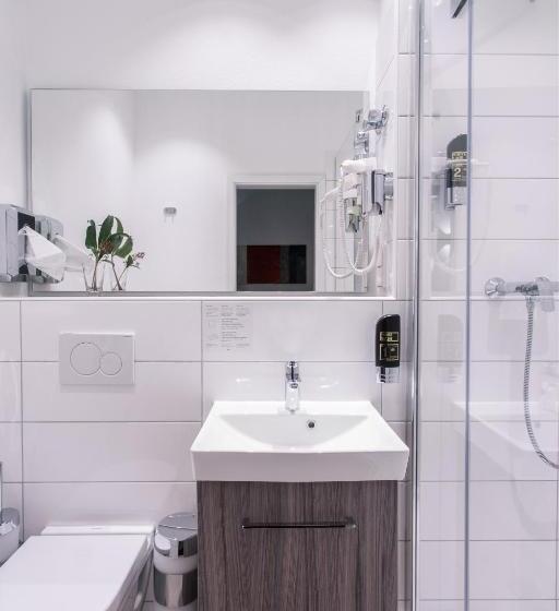 اتاق استاندارد یک نفره, B54 Heidelberg City Center