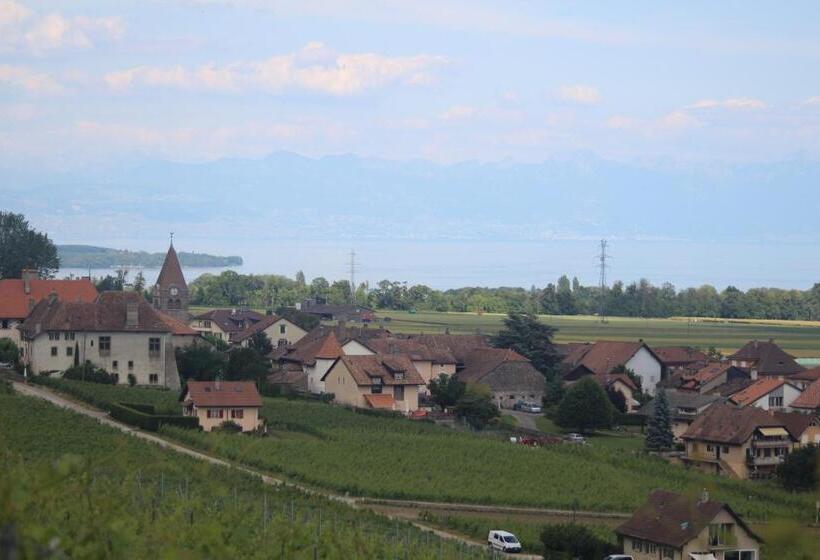 اتاق کلاسیک, Au Cœur Du Vignoble Sur Bursins