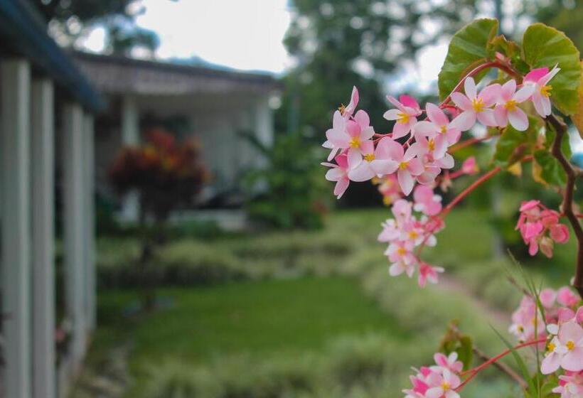 سوییت خانوادگی, Campestre La Esperanza En Dios
