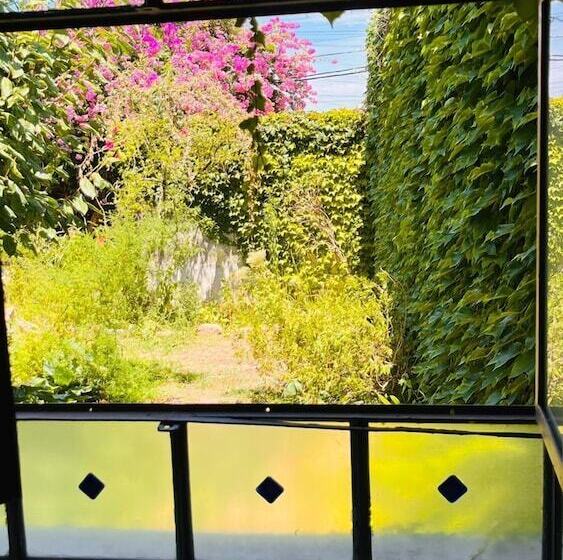 اتاق استاندارد با چشم‌انداز باغ, Casa Del árbol