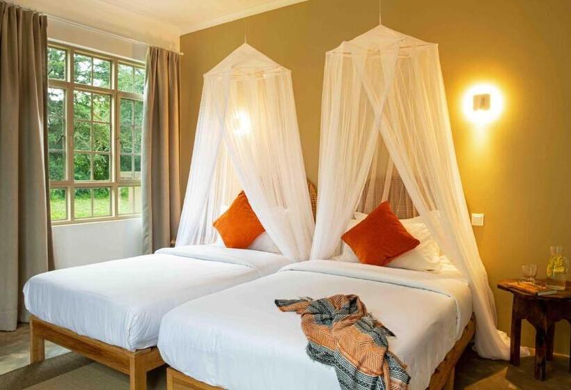 اتاق لوکس, The Safari House