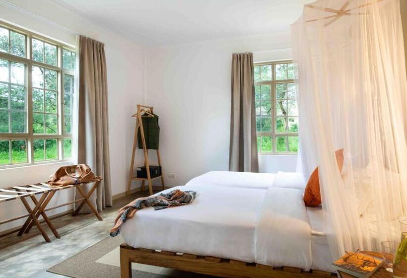اتاق لوکس, The Safari House